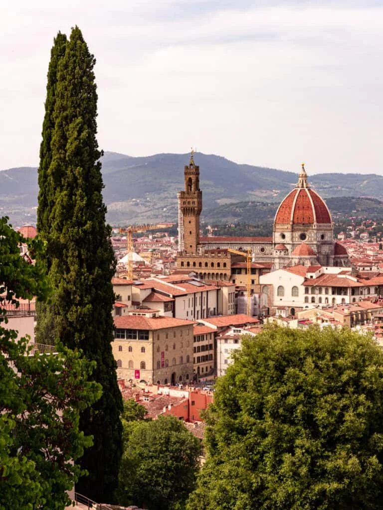 Florence from the Boboli side: the Duomo and the tower of the Palazzo Vecchio beyond a cypress